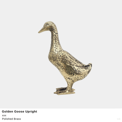 * Golden Goose Upright