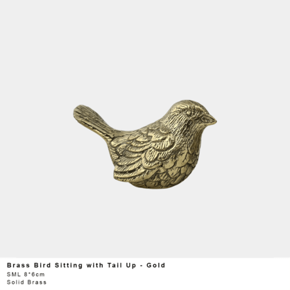 * Bird Sitting with Tail Up