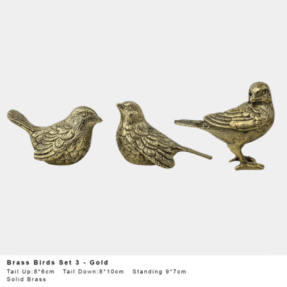 * Bird Sitting with Tail Up