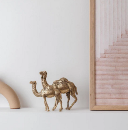 Camel Gold Medium