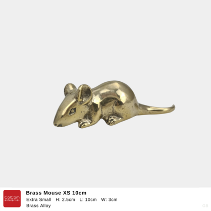 Brass Mouse 10cm XS