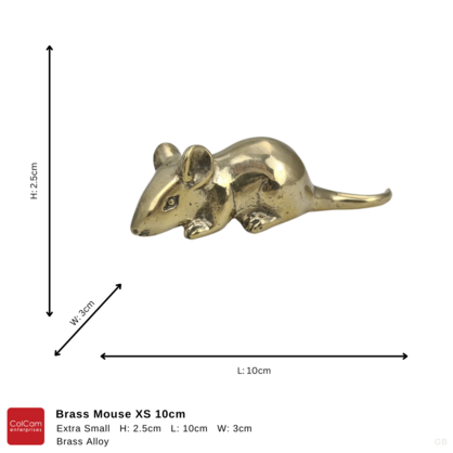 Brass Mouse 10cm XS