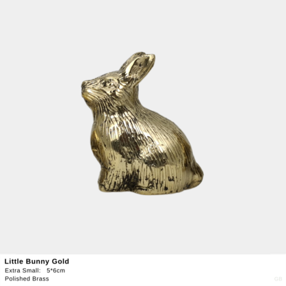 Hop Little Bunny (Sit) XS