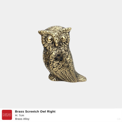 Brass Screetch Owl Right H7cm
