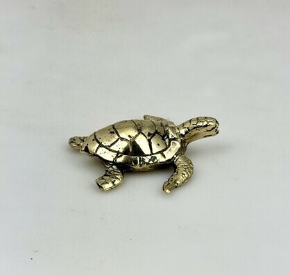Turtle GLD XS
