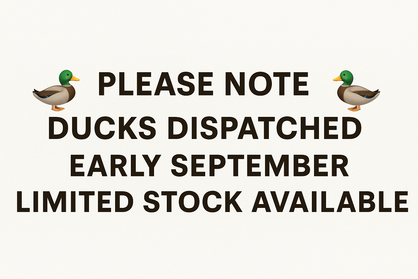 Dispatch Early September
