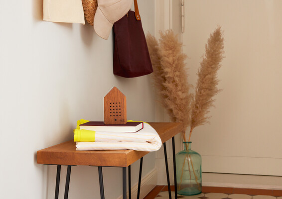 Wholesale Casa Calm & Lingo