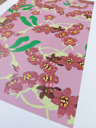 Pittosporum A4 Art Print