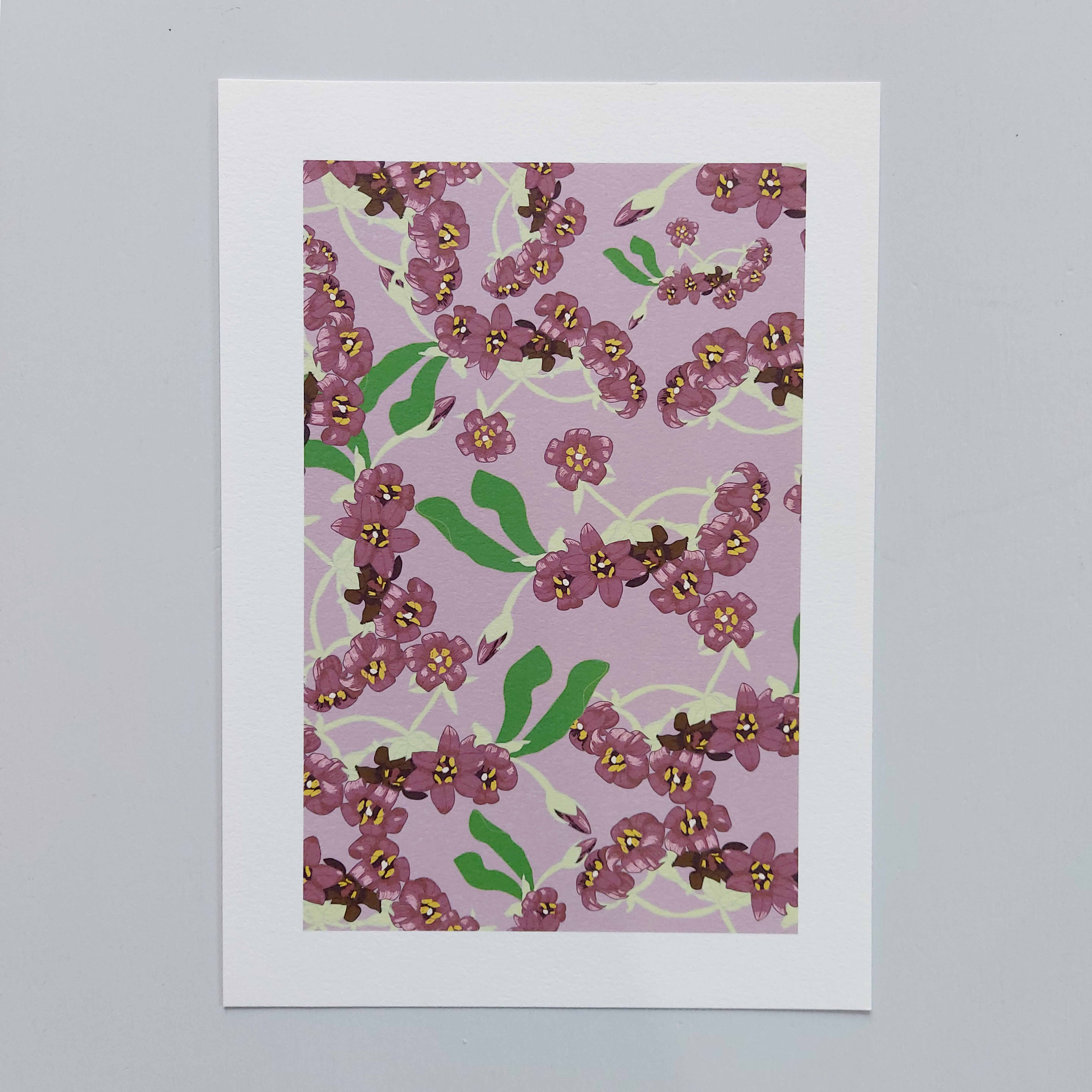 Pittosporum A4 Art Print