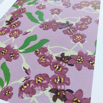 Pittosporum A4 Art Print