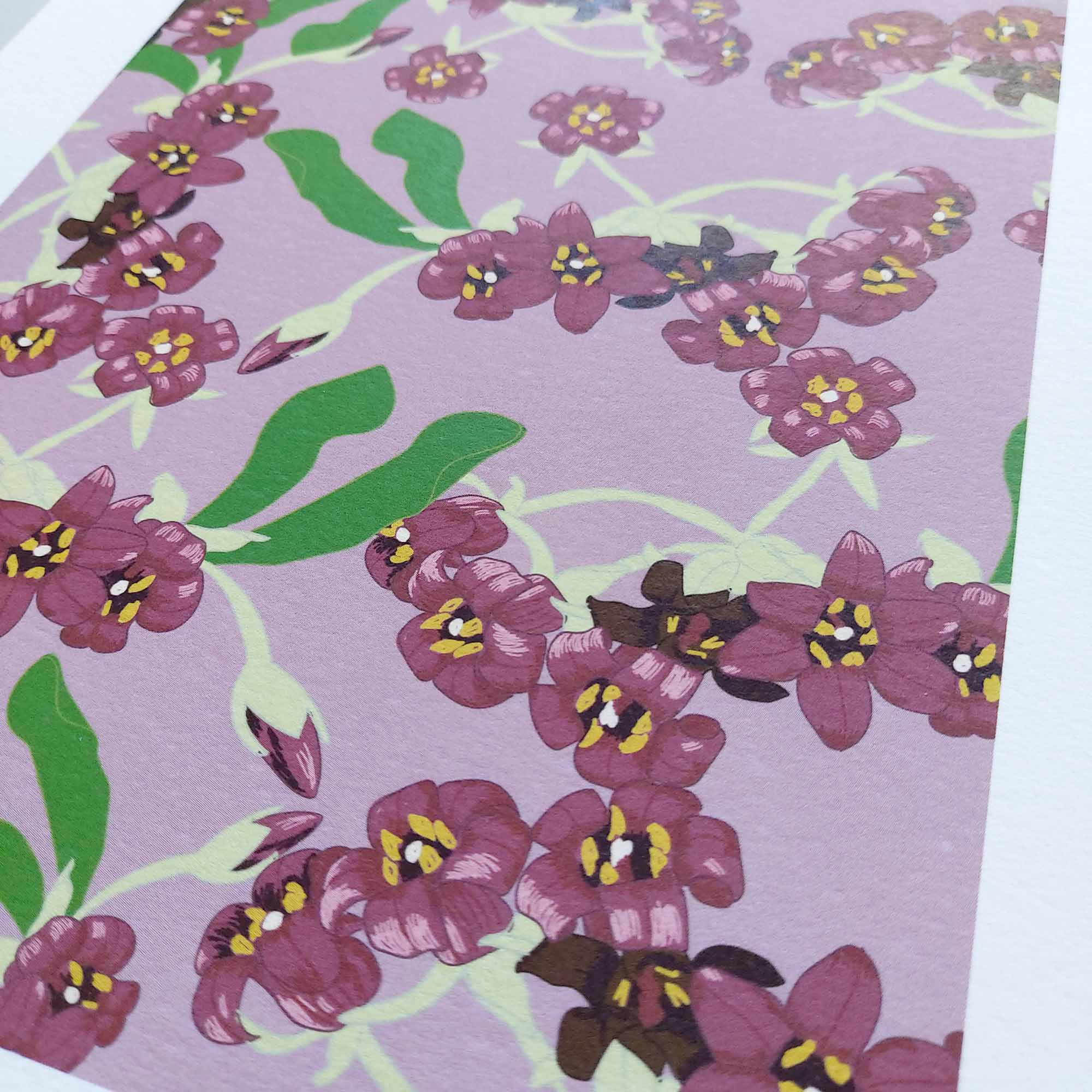 Pittosporum A4 Art Print