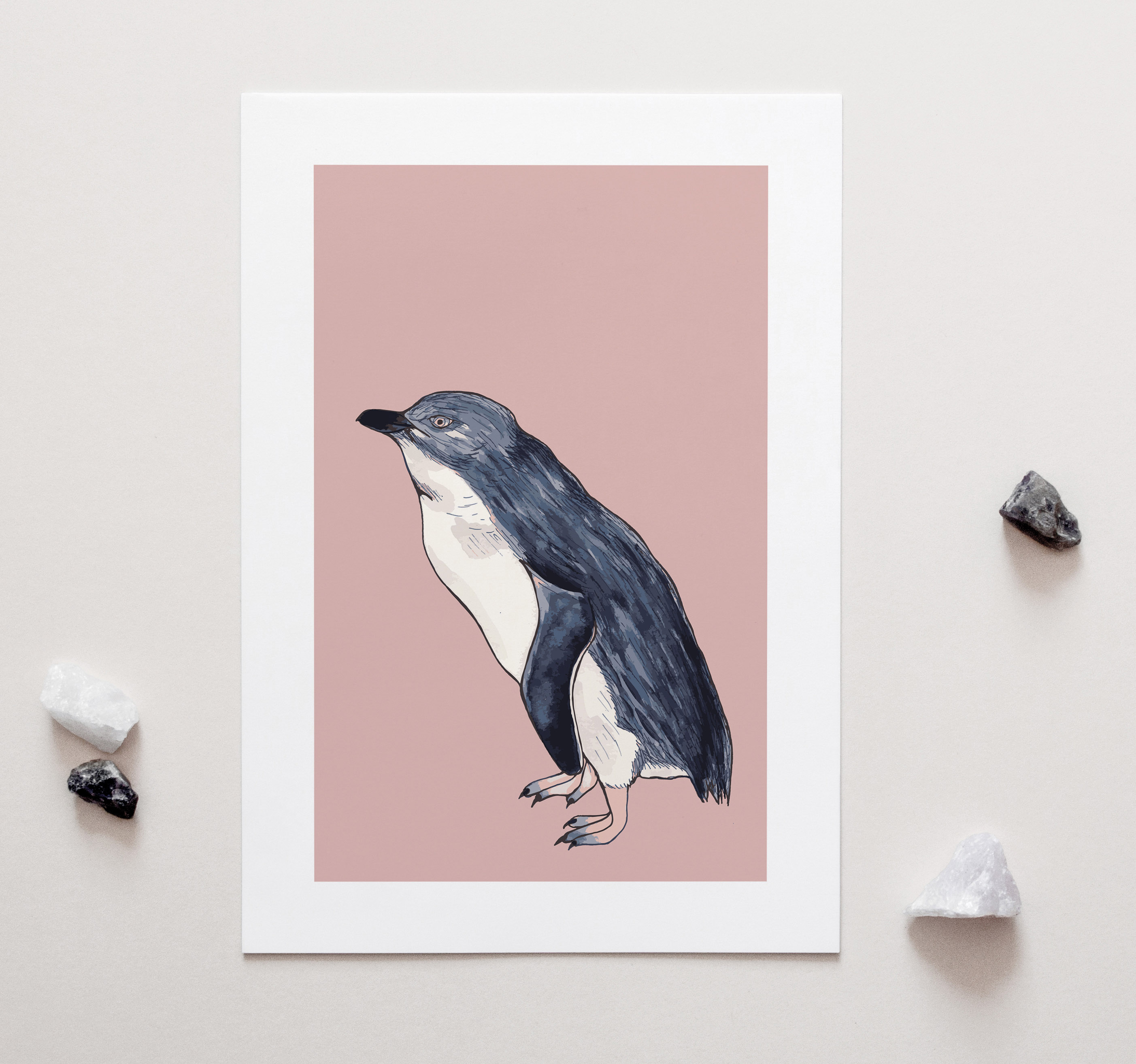 Little Blue Penguin A4 Art Print on Pink