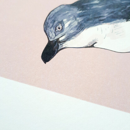 Little Blue Penguin A4 Art Print on Pink