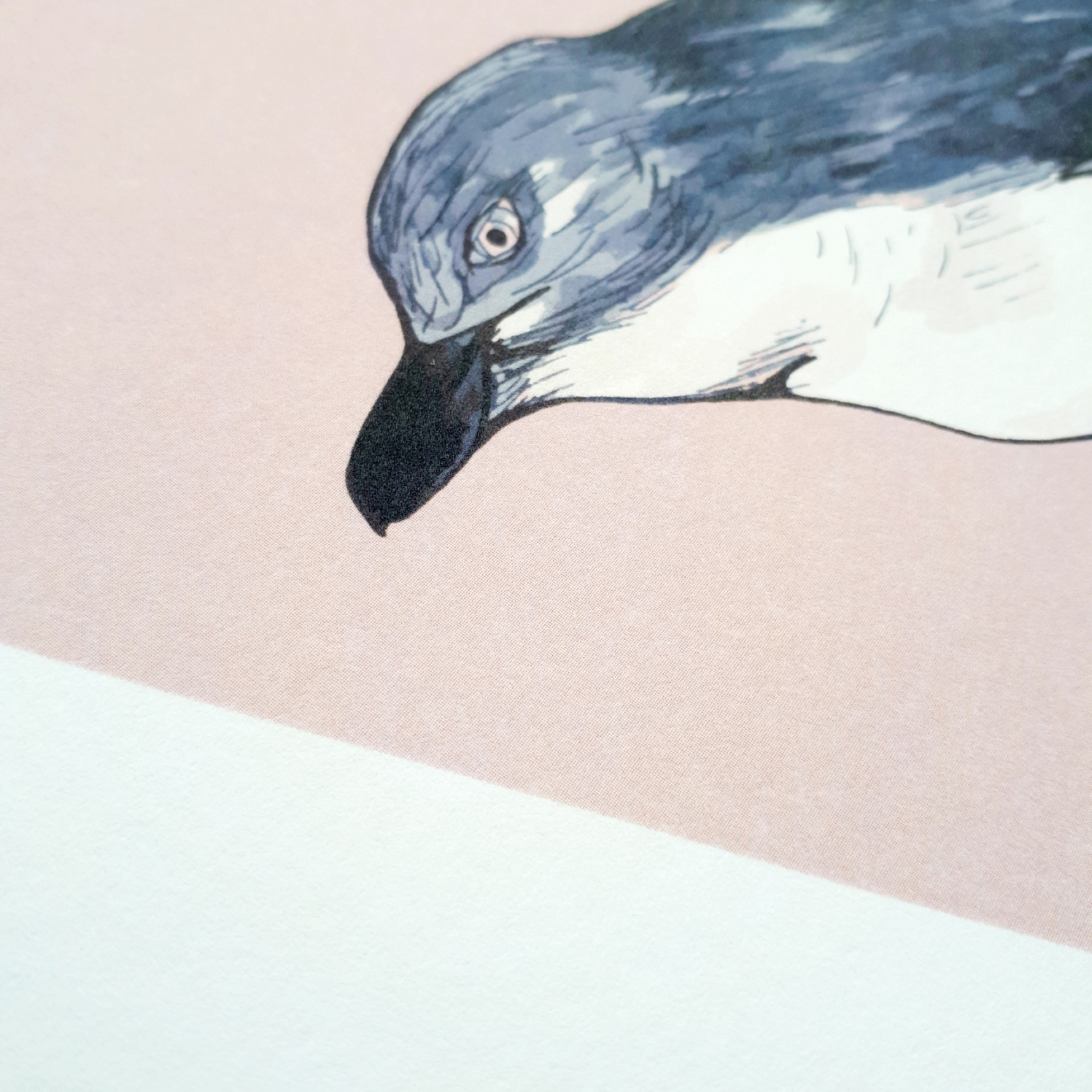Little Blue Penguin A4 Art Print on Pink