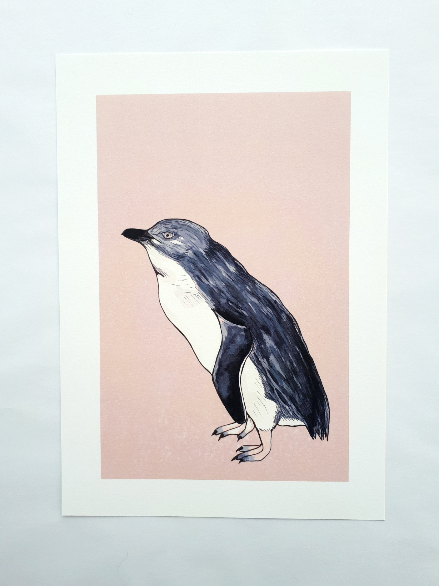 Little Blue Penguin A4 Art Print on Pink
