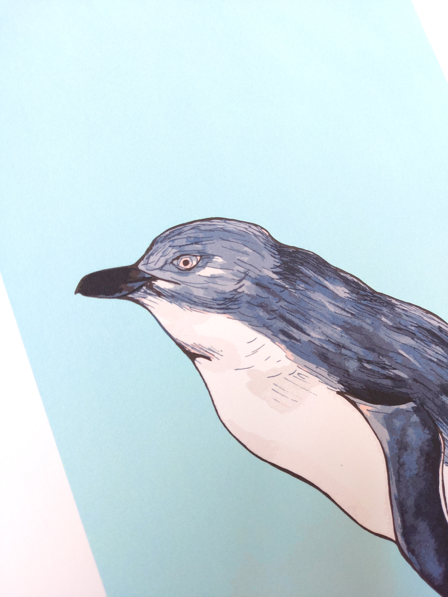 Little Blue Penguin Blue A4 Art Print