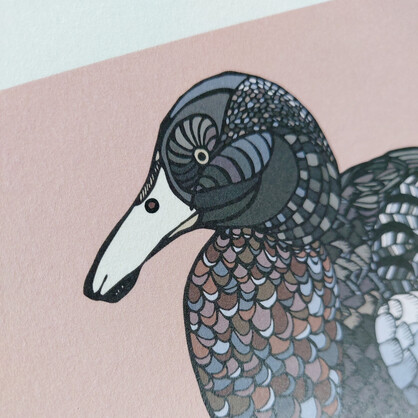 Whio on Pink A4 Art Print – Blue Duck