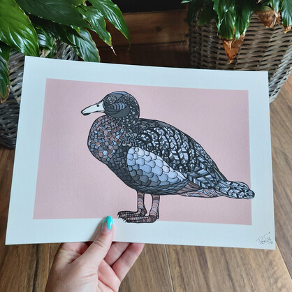 Whio on Pink A4 Art Print – Blue Duck
