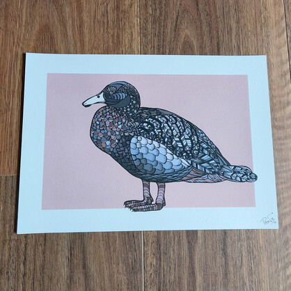 Whio on Pink A4 Art Print – Blue Duck