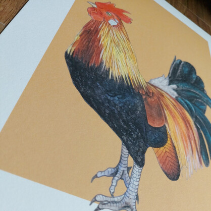 Rooster A4 Art Print – Tan