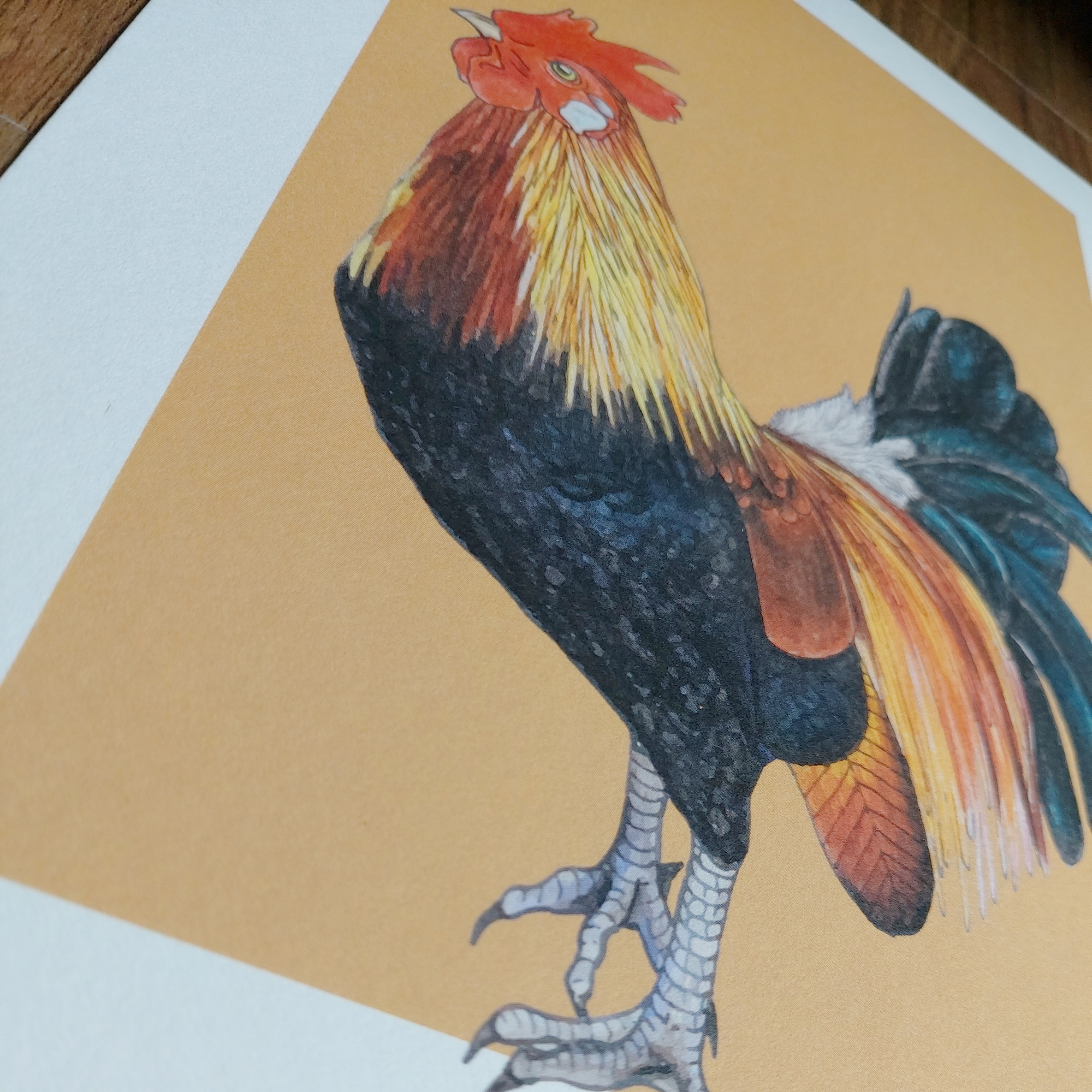 Rooster A4 Art Print – Tan
