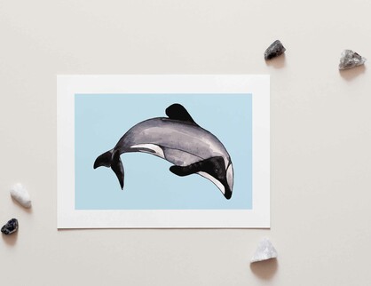 Maui Dolphin A4 Art Print