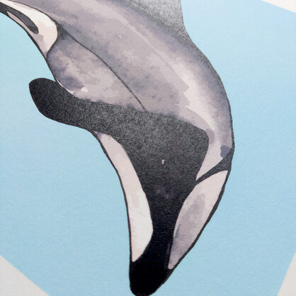 Maui Dolphin A4 Art Print