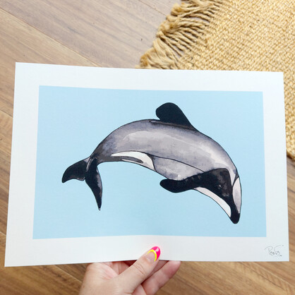Maui Dolphin A4 Art Print