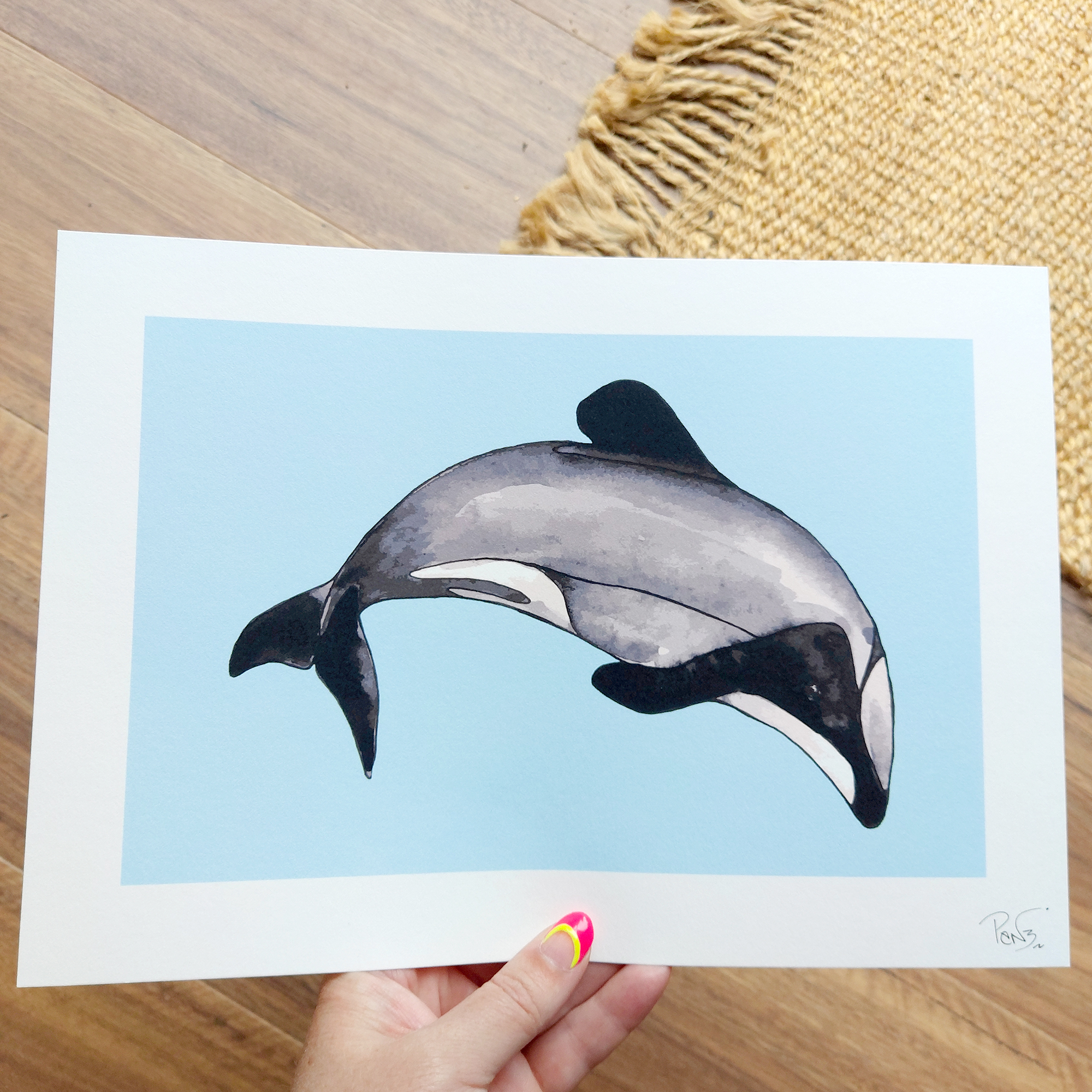 Maui Dolphin A4 Art Print