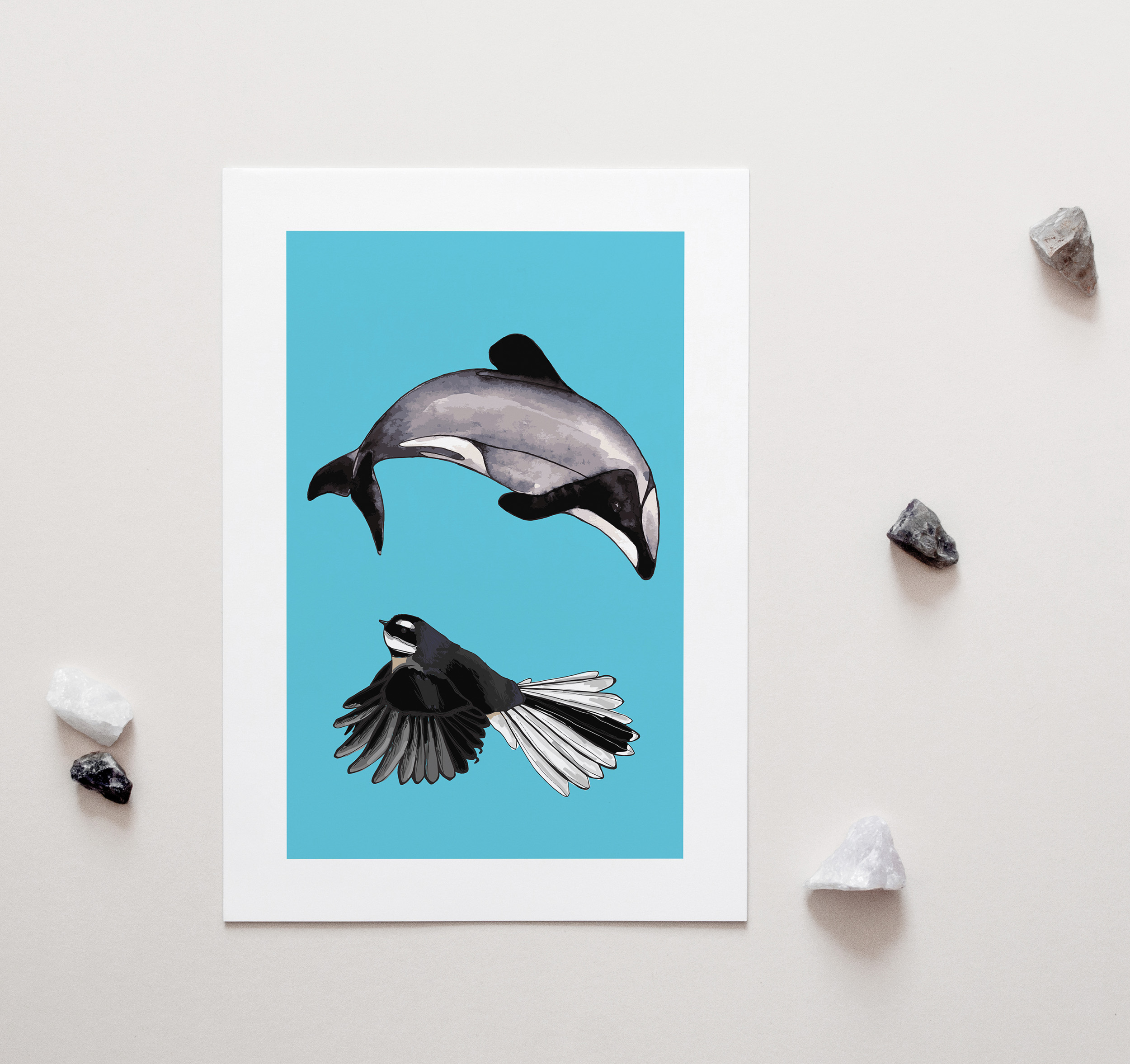 Dolphin and Fantail A4 Art Print
