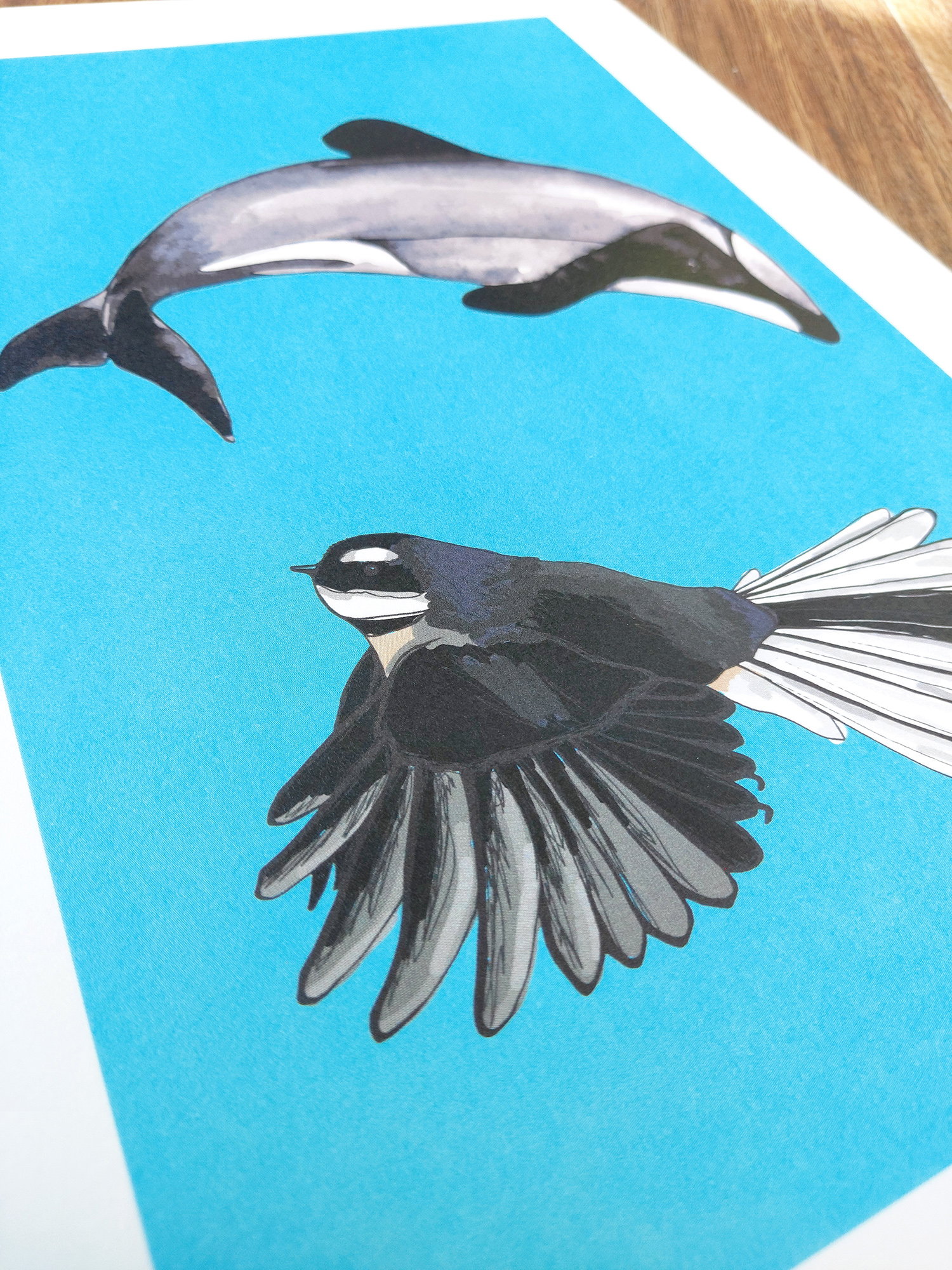 Dolphin and Fantail A4 Art Print