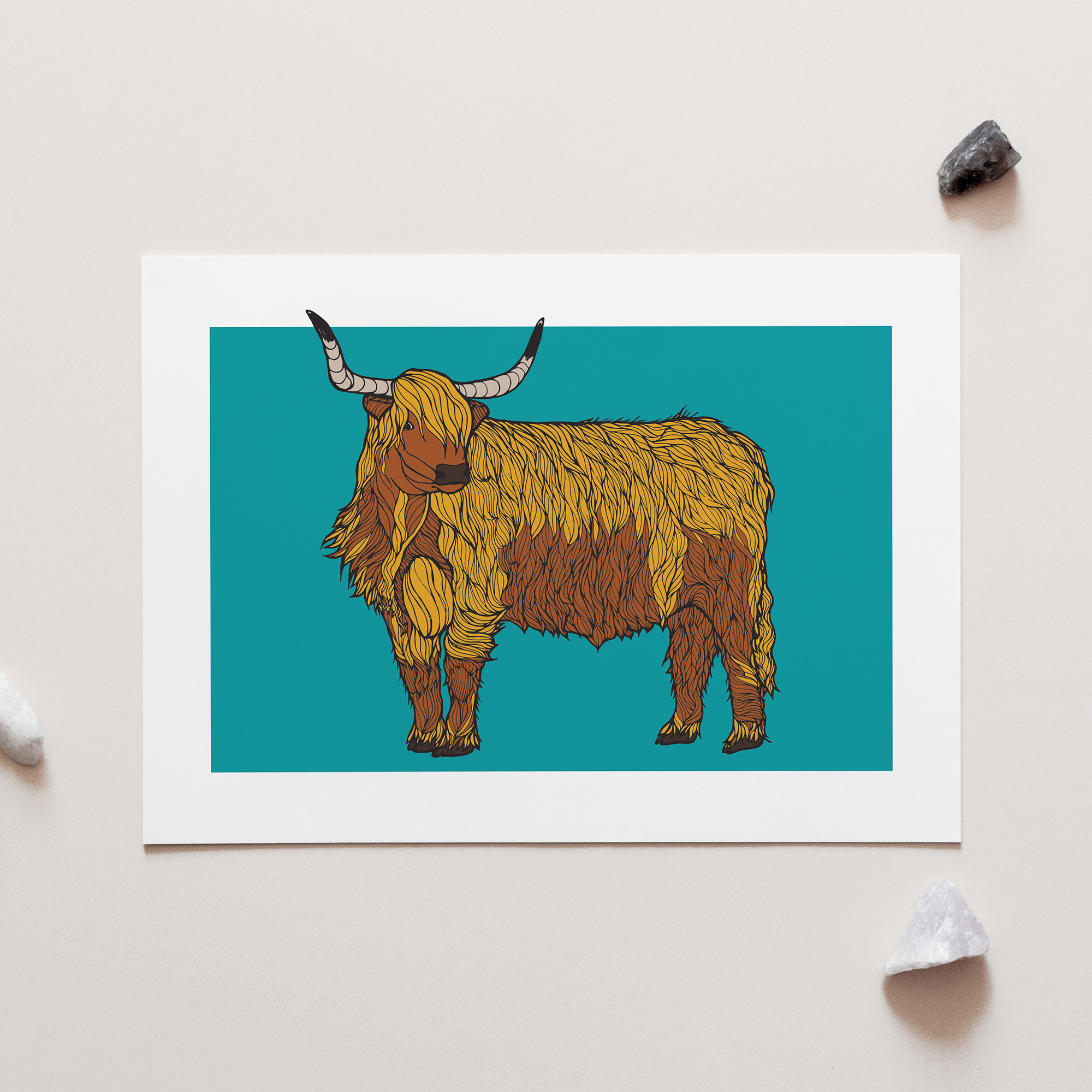 Highland Cow A4 Art Print