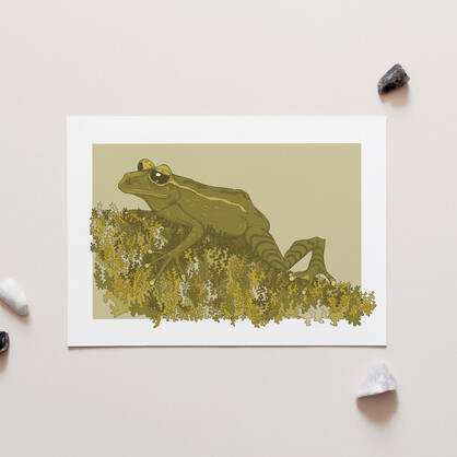 Mossy Frog A4 Art Print - Maud Island frog
