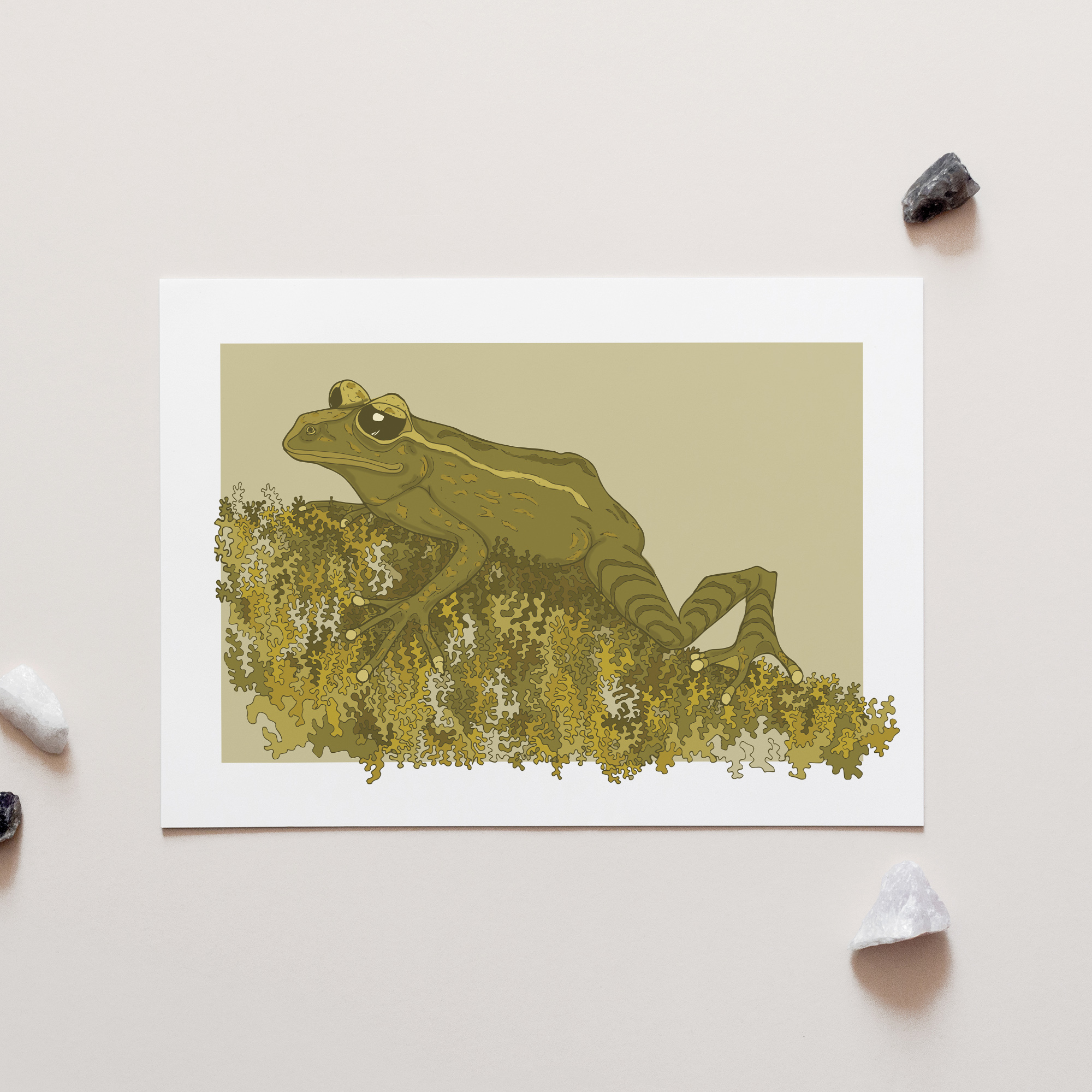 Mossy Frog A4 Art Print - Maud Island frog