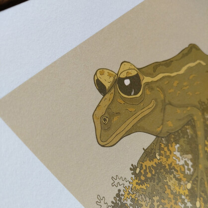 Mossy Frog A4 Art Print - Maud Island frog