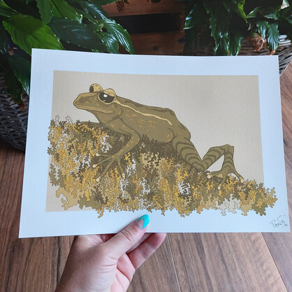 Mossy Frog A4 Art Print - Maud Island frog