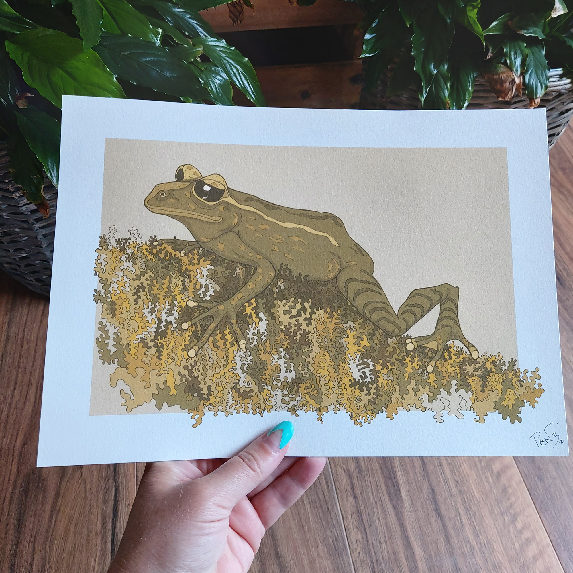 Mossy Frog A4 Art Print - Maud Island frog