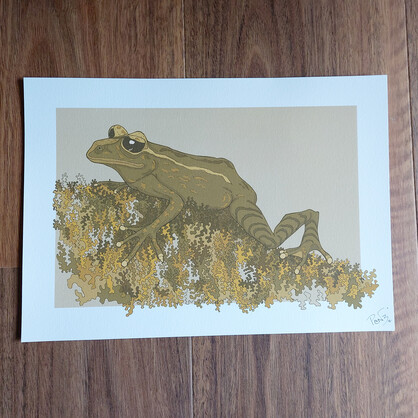 Mossy Frog A4 Art Print - Maud Island frog