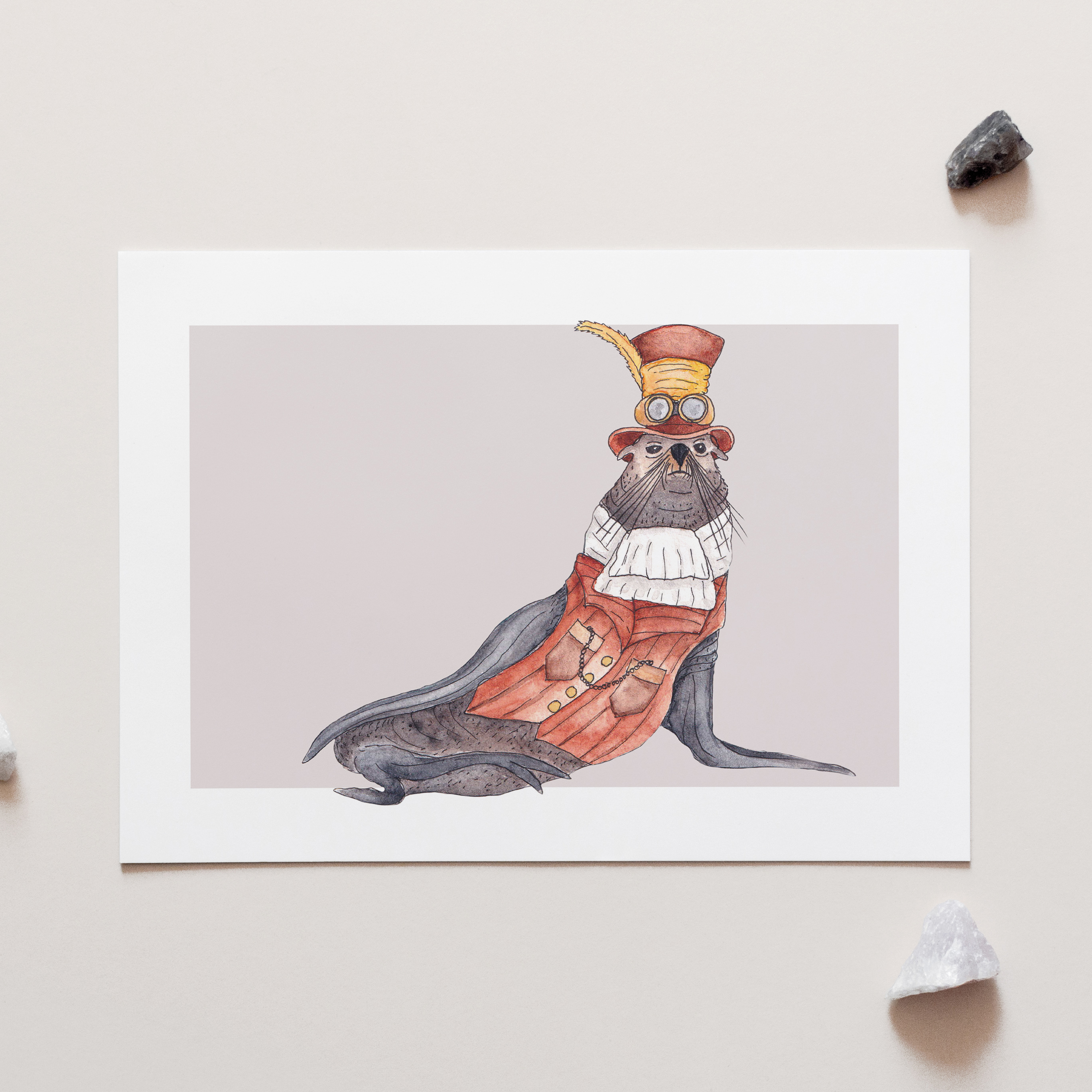 Fergus the Furseal A4 Art Print