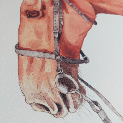 Theo Horse A4 Art Print