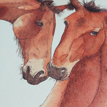 Are We Friends? A4 Art Print - brown horse foals