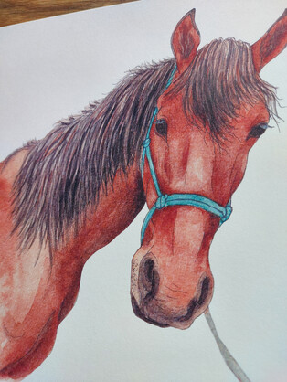 Danny Horse Art Print