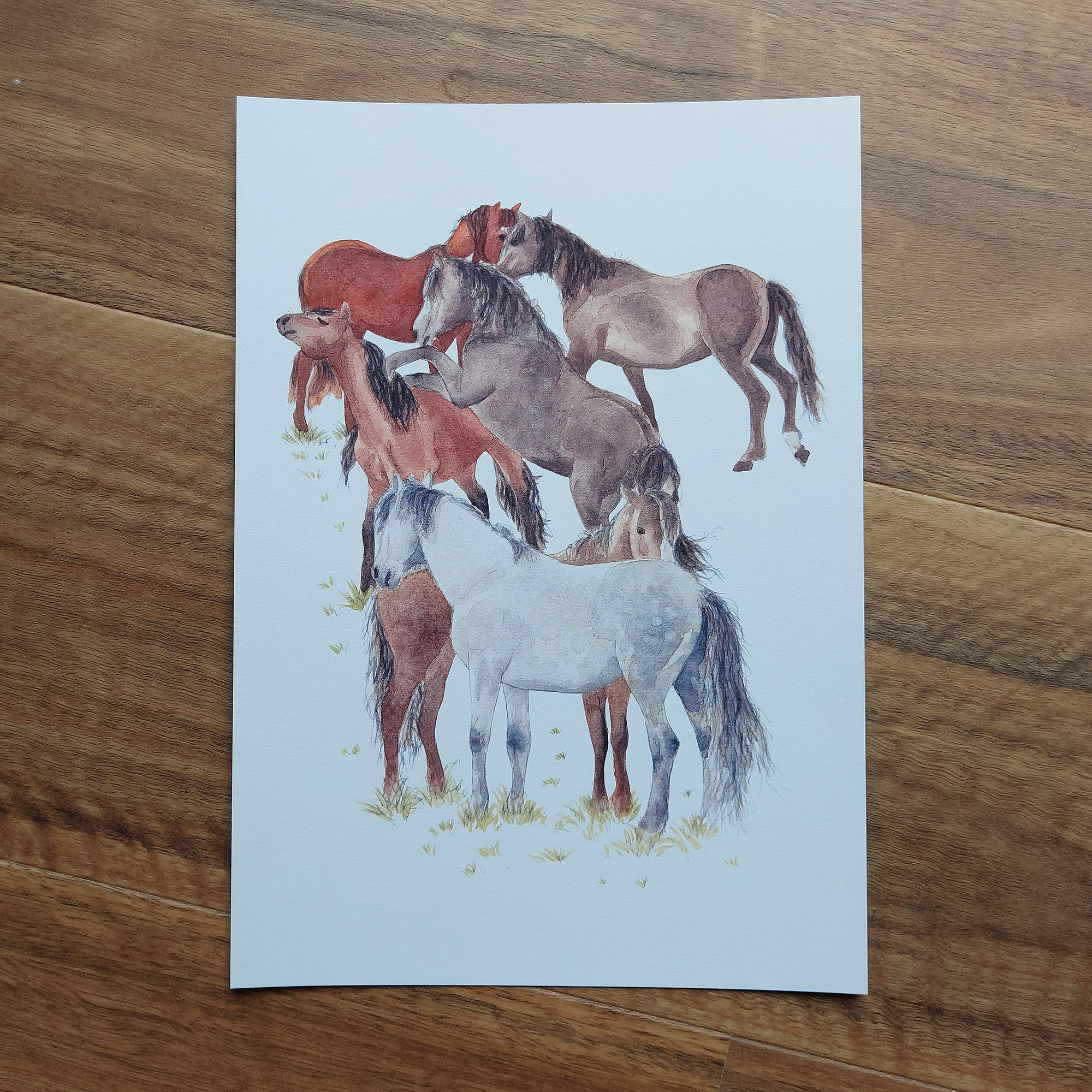 Wild Kaimanawas Art Print – horses