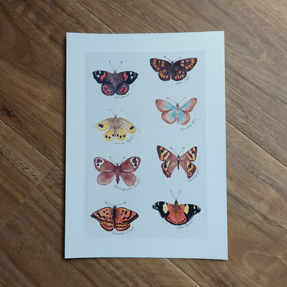 NZ Native Butterflies Art Print