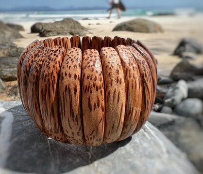 Natural Coconut Palmwood Elastic Viva Bracelet