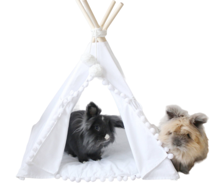 Pom Pom Teepee With Mat in White