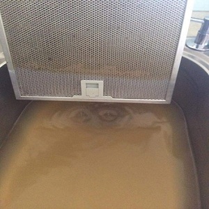 Quickleen R Rangehood Filter Cleaner