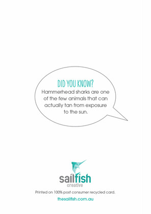 Birthday Card - Hammerhead Shark