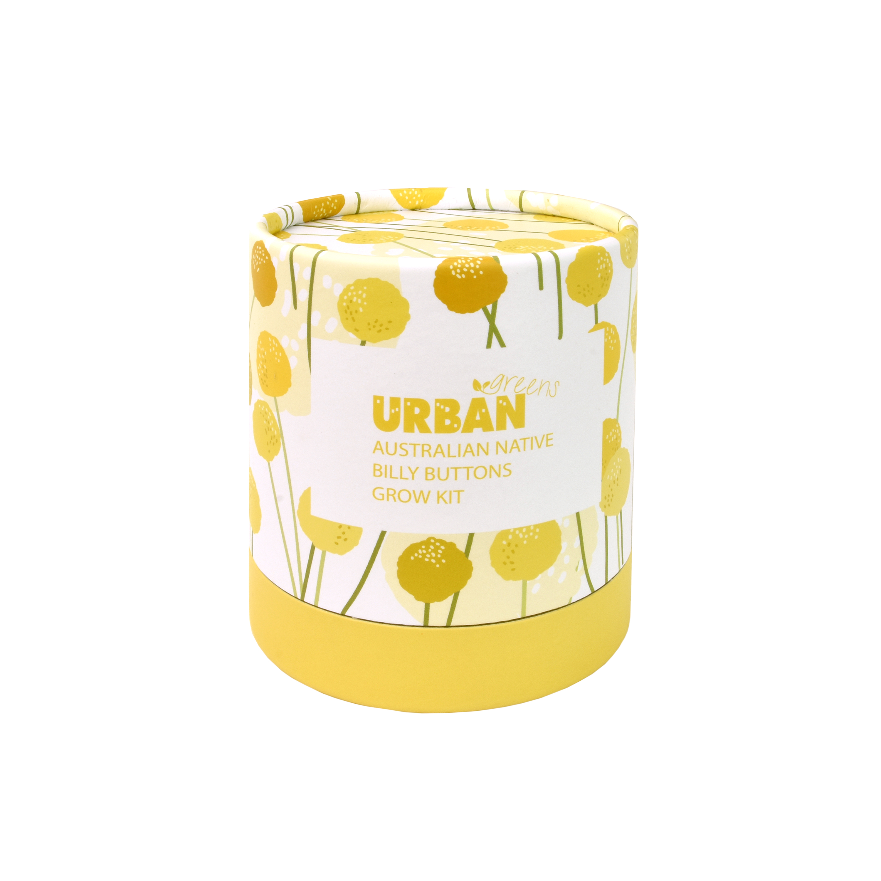 Urban Greens Australian Native Billy Buttons Grow Kit