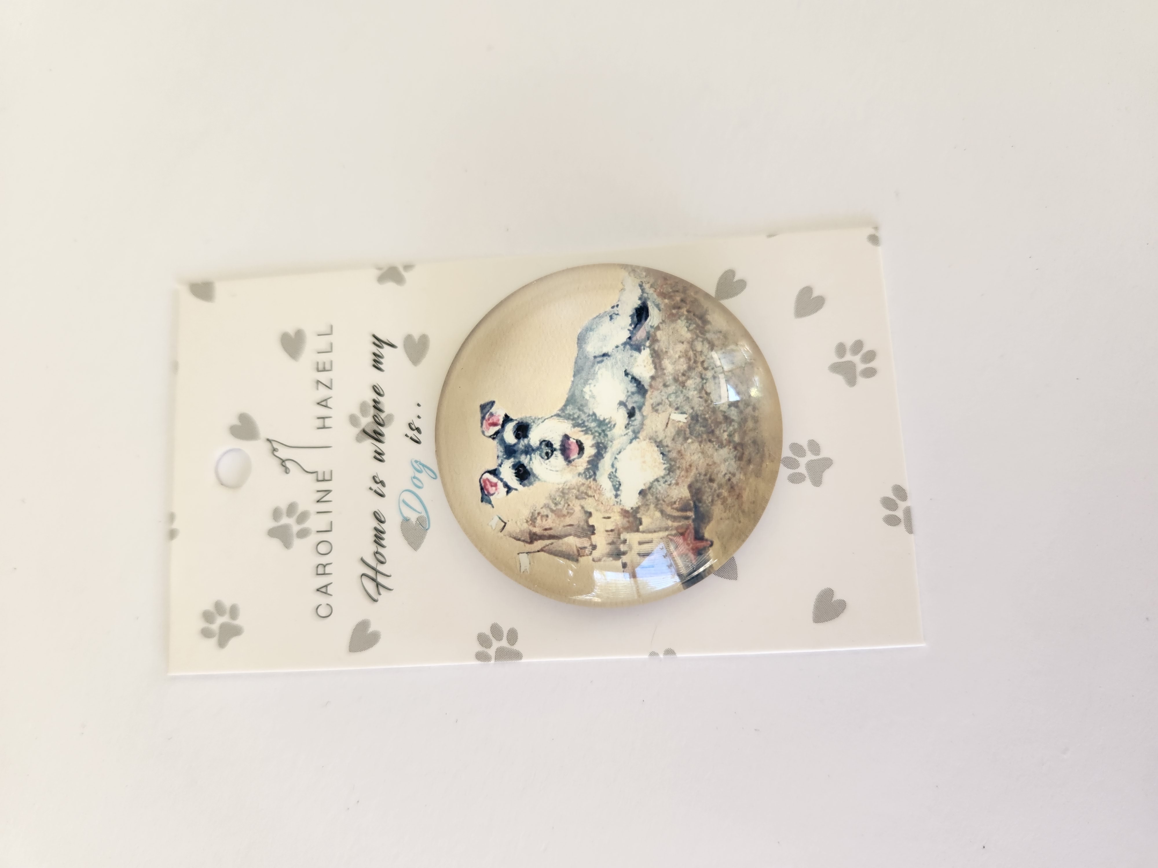 Beach Dogs Crystal Magnet SCHNAUZER